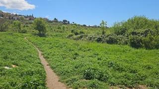 Terreny residencial  Canal industrial