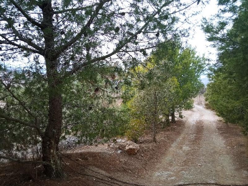 Foto c5879097-5442-4b47-9036-6bf62114a1d8. House in Tabernas