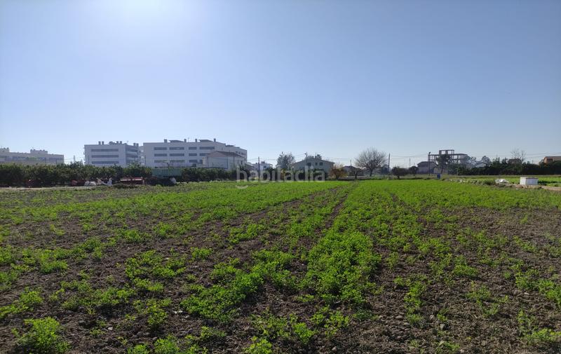 Foto 36400fa9-a26d-4345-88b4-c223430e3e9c. Terreny residencial a Deltebre