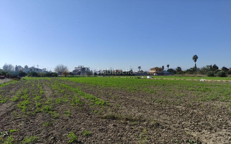 Foto 6caa3bf8-4e88-4602-98fd-2d74bc1dd64d. Terreny residencial a Deltebre