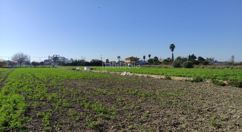 Foto 92af93c5-b496-43cf-9847-62e144dd693b. Terreny residencial a Deltebre