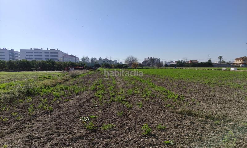 Foto bc13eca1-a775-4d1e-8a7a-41d7c3674c0f. Terreny residencial a Deltebre