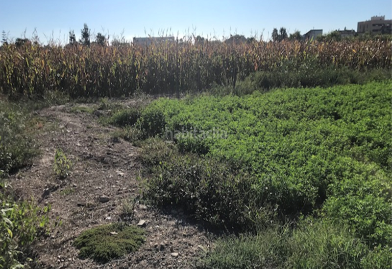 Foto aa90307b-68d8-48ee-8c67-ed27a719d53c. Residential plot in Deltebre