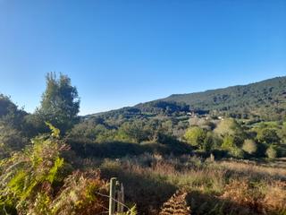 Finca rústica a Lemoiz. Venta en lemoiz, 32.000m²  de terreno rural,