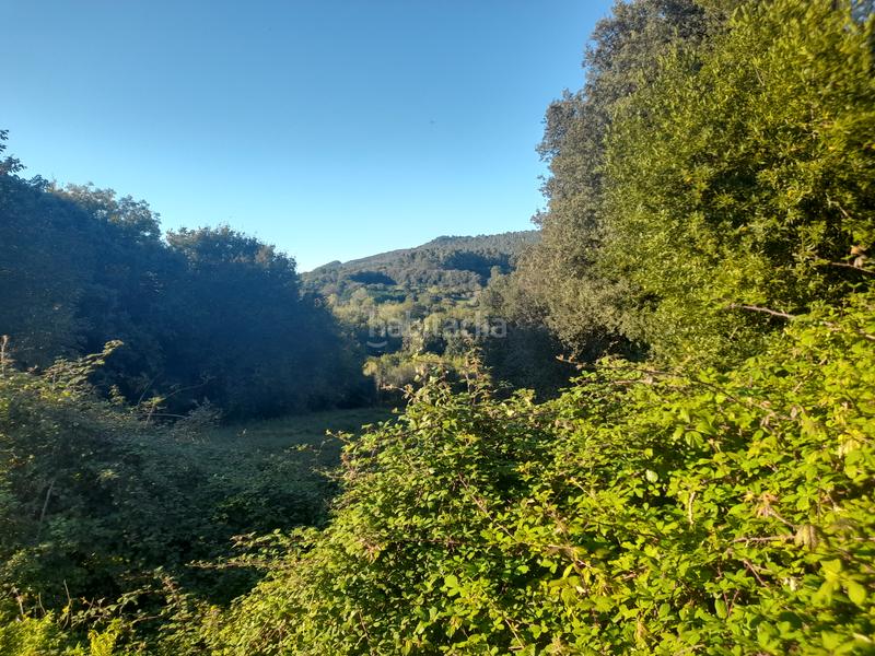 Foto aade58ce-0c77-4c3a-a50f-f294c4d607e1. Finca rústica a Lemoiz