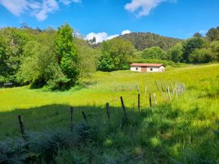 Masia a Lemoiz. Uribe-kosta, venta terreno 10.000m²