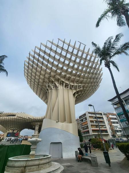 Foto 4708cadd-7ff2-42bf-8d22-742d1df82310. Location appartement avec chauffage dans Encarnación - Regina Sevilla