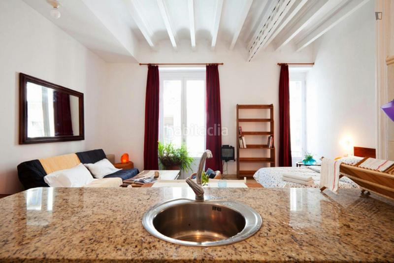 Foto 96eff21a-482b-4ae3-bcd4-bcec0b7a98ca. Miete etagenwohnung mit heizung in Raval Barcelona