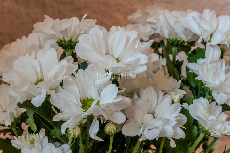 Foto a848c7a1-a56f-4577-8b16-3e98dec85089. Rent flat with heating in L´Antiga Esquerra de l´Eixample Barcelona