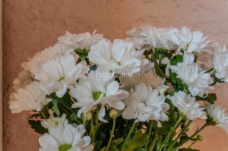 Foto cd618445-f59d-44a1-8e41-21ac54ea22fc. Rent flat with heating in L´Antiga Esquerra de l´Eixample Barcelona