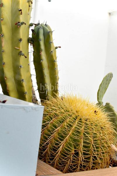 Foto 6108440e-ab6c-4e29-aba6-280b7d05c9c4. Location appartement avec chauffage dans La Seu Valencia