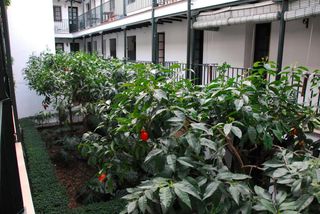 Location Appartement  N/a. Calle alfalfa, sevilla