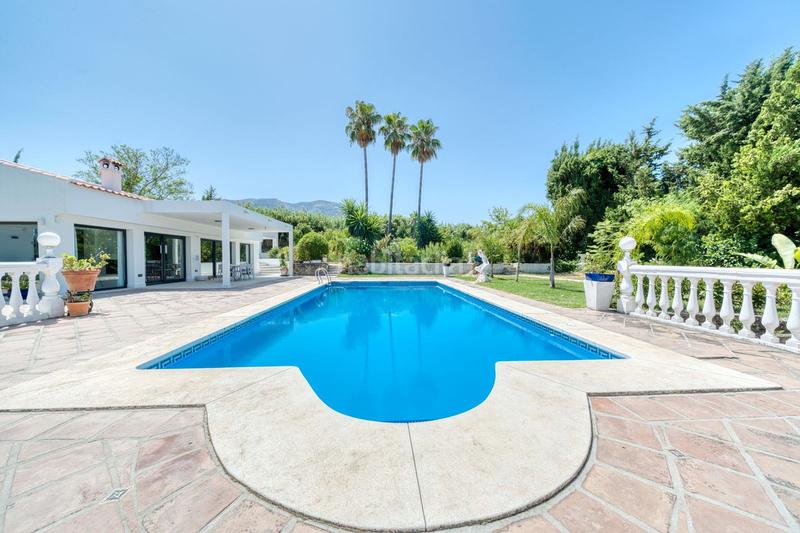 Foto 8e29fb98-232c-4a3c-b9bb-256ddd0da725. Xalet amb aparcament piscina a Centro Alhaurín el Grande