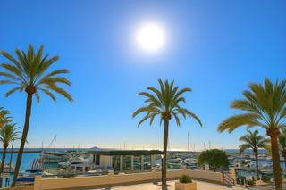 Apartamento en Puerto de Estepona