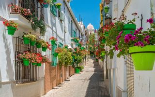 Apartment in Zona Calvario