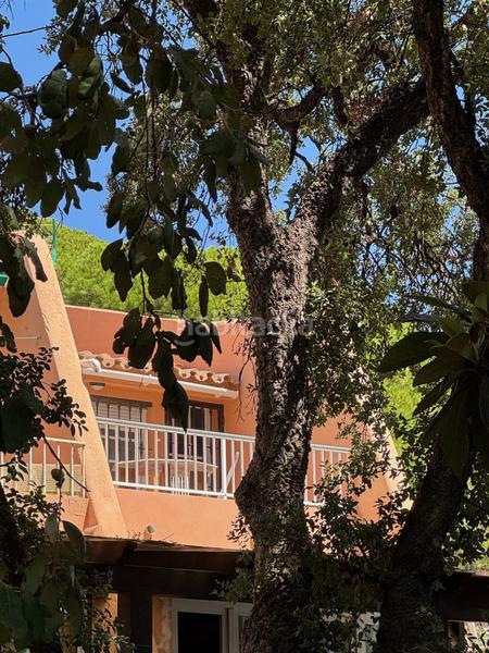 Foto 9377698c-ec2f-4bb0-a9f3-d3e9ead29fc8. Apartament amb piscina a Seghers Estepona