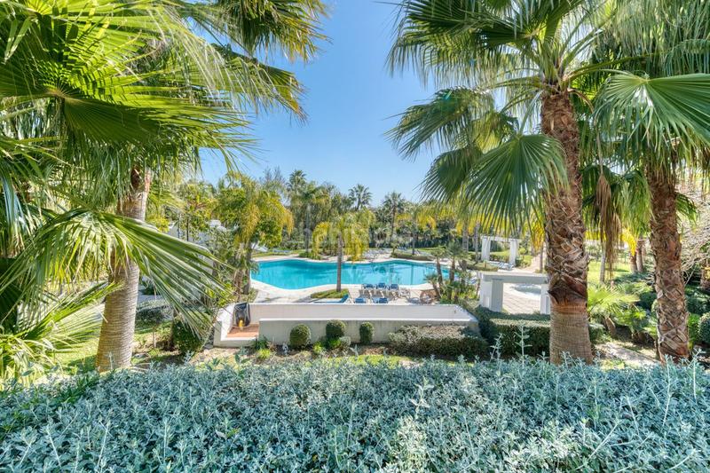 Foto b469b276-83d2-4edc-9b92-bf5958728a1b. Piano terra con parcheggio piscina in Casares pueblo Casares