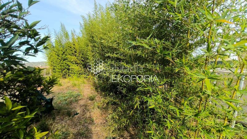 Foto d9e72e17-ade5-465c-be28-0210b82ea828. Casa amb calefacció piscina a Olimar-Carambolo-Atalaya de Levante Chiva