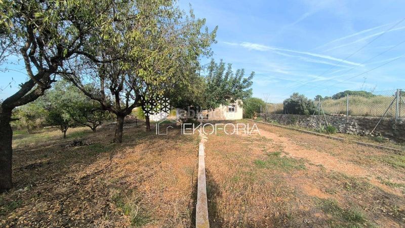 Foto 9a03cdf7-3e71-4295-8ceb-c64fbdfe4b37. Casa amb calefacció piscina a Olimar-Carambolo-Atalaya de Levante Chiva