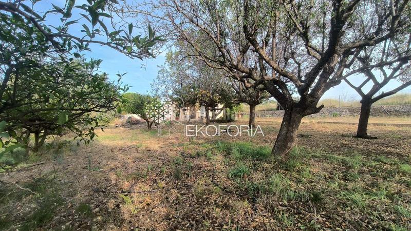 Foto cf18c73f-322d-4e63-8ca8-ac00b2cba59d. Casa amb calefacció piscina a Cheste