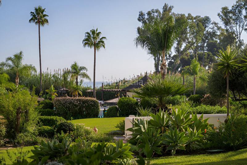 Foto e14c0576-4e2b-4cdd-a6f9-1d0a5066acc9. Planta baixa amb aparcament piscina a Sotoserena Estepona