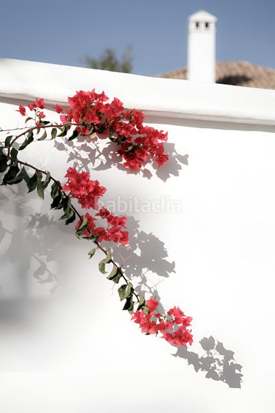 Foto 346b9feb-a061-45bd-8e92-7fefa0707f49. Casa adossada a Los Naranjos Marbella