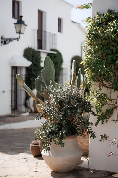 Foto b30b3c76-c681-4131-bfad-e6dd7d138730. Casa adossada a Los Naranjos Marbella