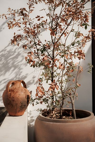 Foto c8dc841e-e075-4d42-83df-1bac88446710. Casa adossada a Los Naranjos Marbella