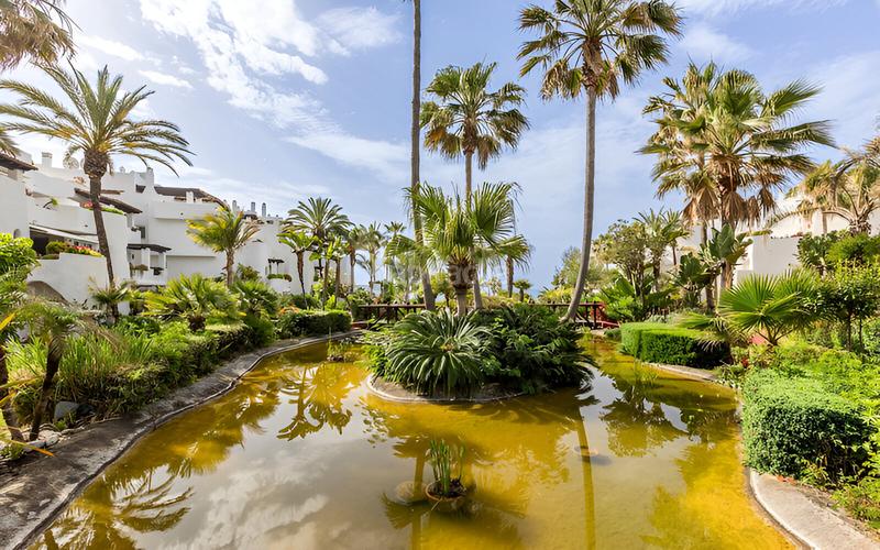 Foto 3ddc1bbd-a3e0-4314-be0e-8e20f3ca908c. Planta baja apartamento en planta baja en venta en Puerto Banús en Marbella