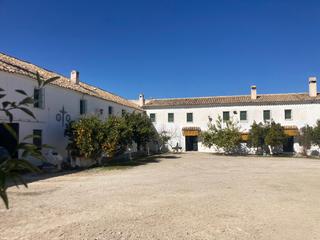 Finca rústica a Rute. Agr-1175 en venta cortijo (rute) - córdoba - farmhouse with oliv