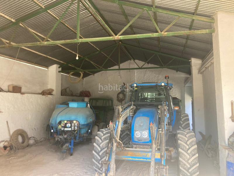 Foto 036eb600-03c9-47a9-b36f-6fbbbcbe8f52. Finca rústica a Rute