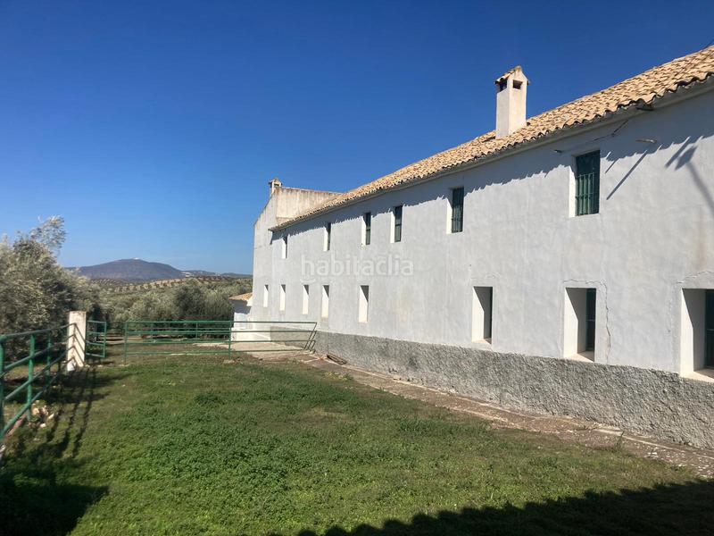 Foto 108e372e-6021-46cd-b803-ecfa016da0af. Finca rústica a Rute