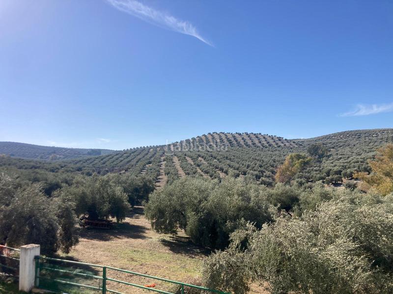 Foto 119cb571-d8b5-44c2-8b6b-8e28dcc0aa1c. Finca rústica a Rute