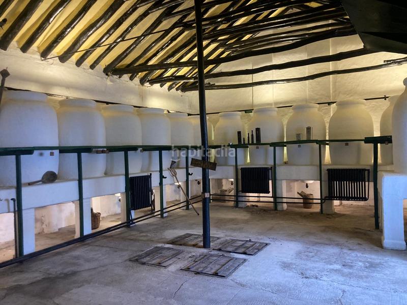 Foto 4437403d-3478-4ebf-8b76-c2ba91703537. Finca rústica a Rute