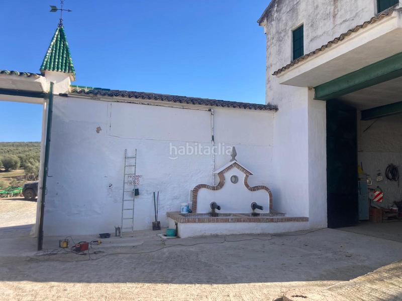 Foto 5e70b25a-ce91-4841-91b4-638d7203797d. Finca rústica a Rute