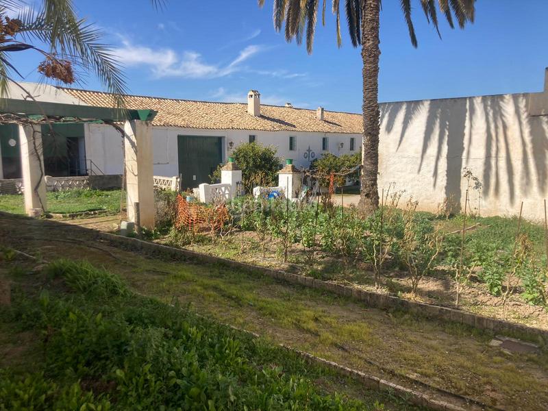 Foto 6f2268d5-852c-4000-84af-f2559b616070. Finca rústica a Rute