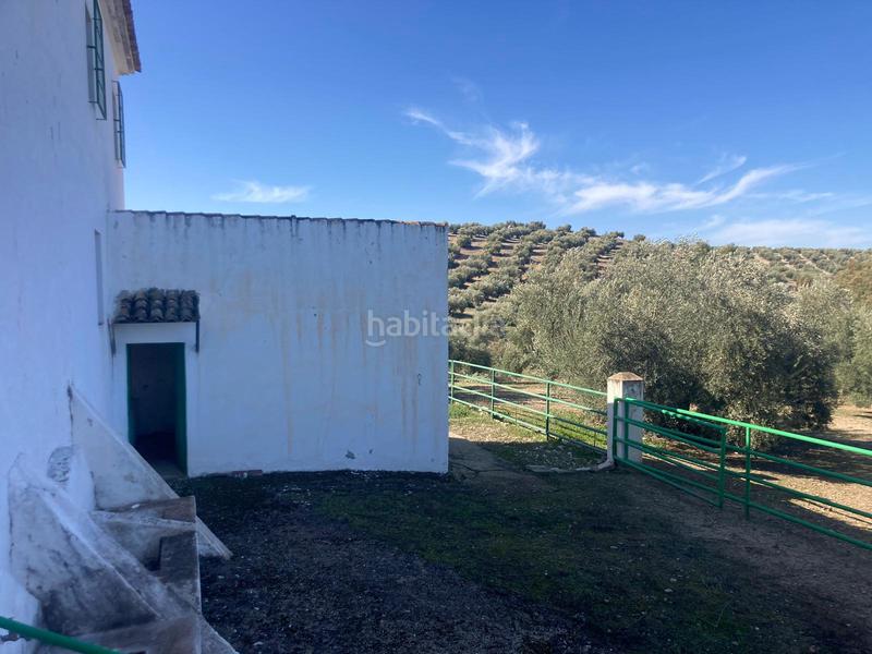 Foto 74be5089-5c87-4c3a-8447-ed63addb18b1. Finca rústica a Rute