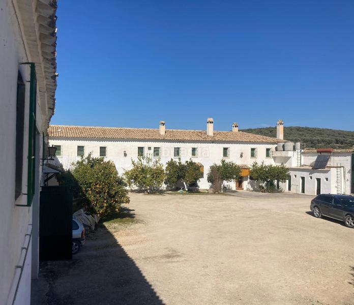 Foto 7bbbe419-78fb-4c2c-85b7-389e5e6d79ef. Finca rústica a Rute