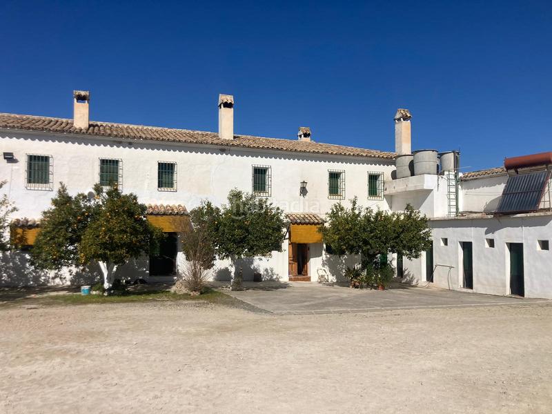 Foto 8430bef9-b0ab-48e3-a33e-ecdec1842e02. Finca rústica a Rute