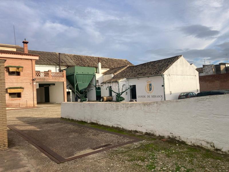 Foto 8b6fec2b-07c3-4a0e-b12f-74ea0a60941f. Finca rústica a Rute