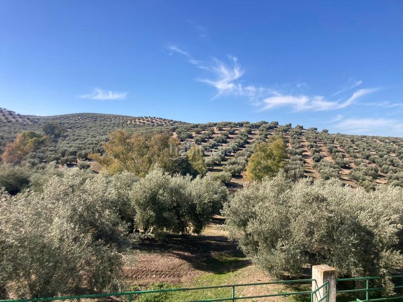 Foto 8c40aaa7-33e1-42cd-9b0b-b3dcb546b145. Finca rústica a Rute