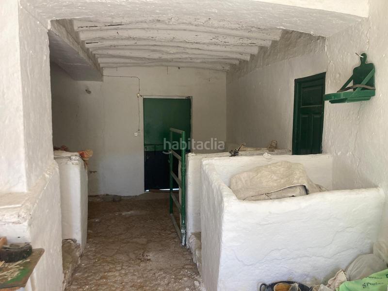 Foto 8f1d4f0c-6dcf-4cb3-8d83-de14da97a71b. Finca rústica a Rute