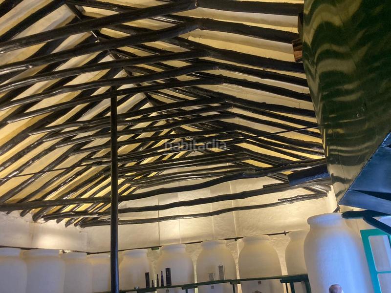 Foto 9a090654-2135-4d17-b433-c17ce5a2e4c9. Finca rústica a Rute