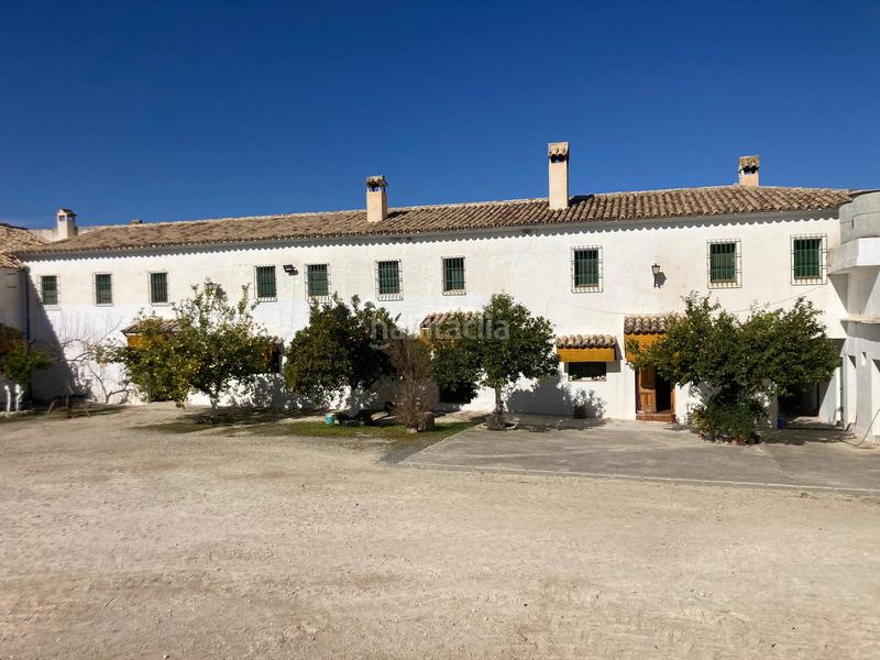 Foto 9d7d9174-f169-4cf5-8f4a-606ad25f862d. Finca rústica a Rute