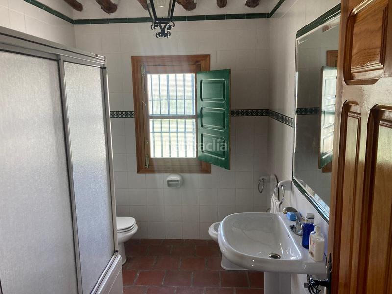 Foto ada143bd-e51c-400b-b1de-c8b22cd2fd26. Finca rústica a Rute