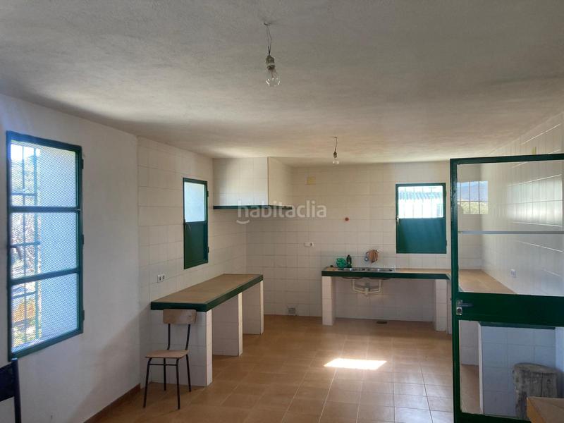 Foto b5727f95-5a5a-4d1a-817c-9df68b4f1cef. Finca rústica a Rute