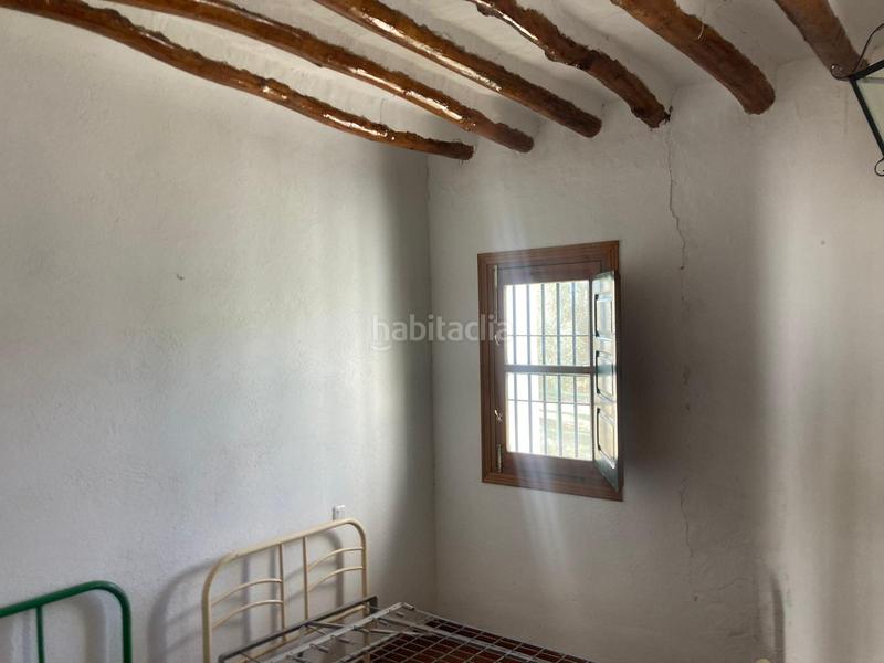 Foto baf7fcc8-1ad7-49e4-b97b-fef991316e06. Finca rústica a Rute