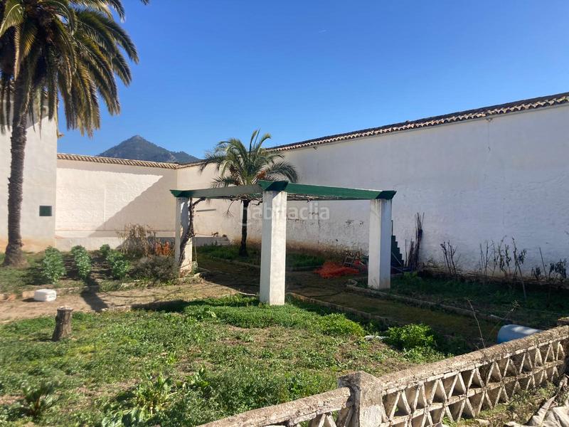 Foto bdf4ce73-349f-4f9f-b0bb-bafe02ac1028. Finca rústica a Rute