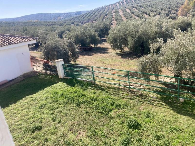 Foto c58c04f3-c624-4673-95c9-b6ffea8495b1. Finca rústica a Rute