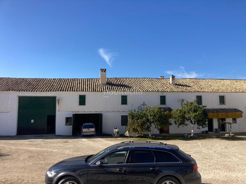 Foto d65258fe-22a9-42dd-92ca-1c3171587d79. Finca rústica a Rute